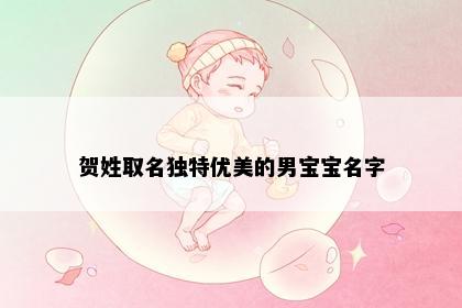 贺姓取名独特优美的男宝宝名字